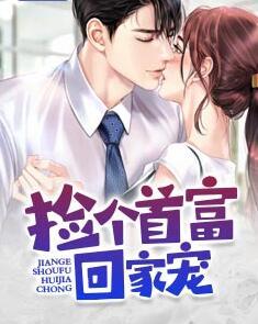 都市废婿