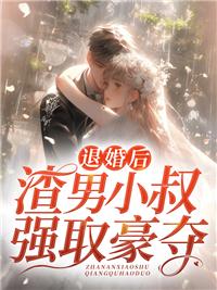 新战神赘婿