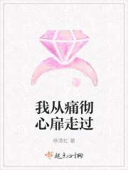 女神的贴身高手陈扬苏晴