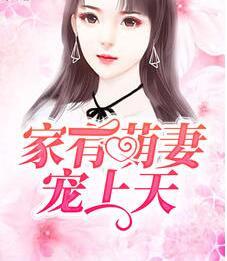 极品女婿