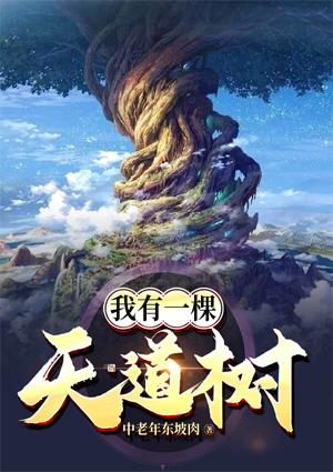 安星辰陆晏舟小说