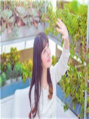 畅销仕途高升宋立海林可然