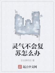 苏眠战墨辰小说名字