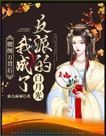 人生若只如初见