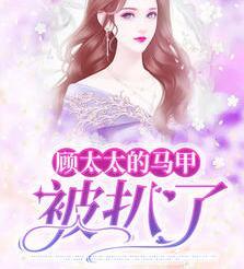龙辰帝洛曦小说全文免费阅读