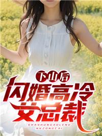 最佳赘婿