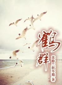 万兽箓