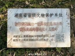 我在乱世靠换装系统装神女