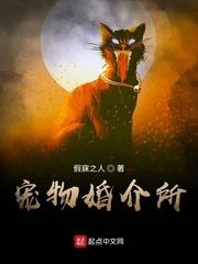 诸天收集系统