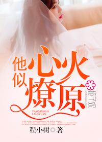 季海棠傅枕书沈蓉免费阅读