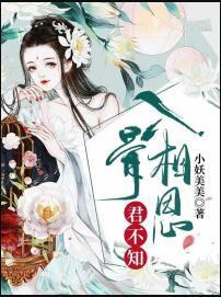 九重天凤栖宫天医小说