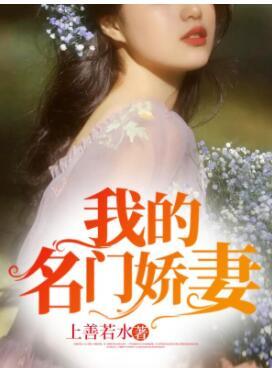 道医玄婿