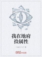 黎莉贺博宇小说