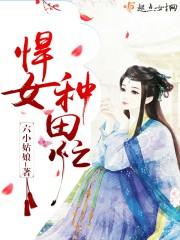 权力场间的博弈:玩火市长