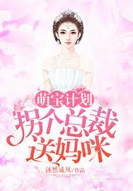 叶倾怀陆宴尘全文