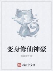 叶清清沈从安的小说在线阅读