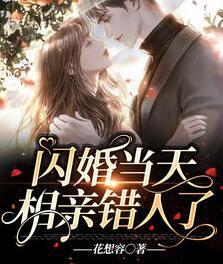 顾念陆策小说