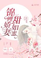 机动纵横