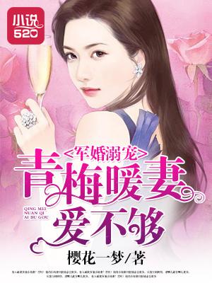 十年婚碎免费