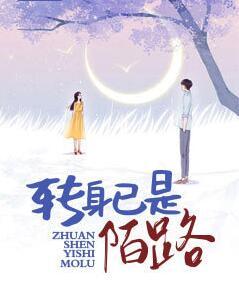司年林婳乔心免费小说