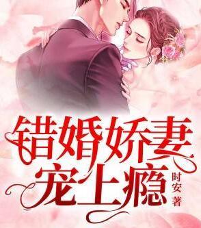 叶以念陆宸小说
