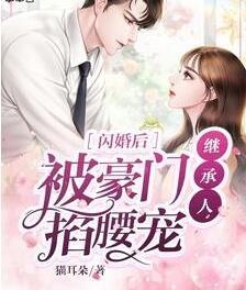 后宫灯火小说
