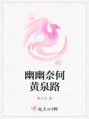 我与神明画押小说