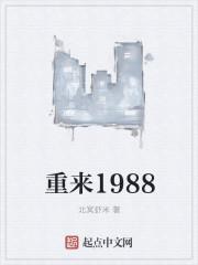 等你的星光小说免费阅读