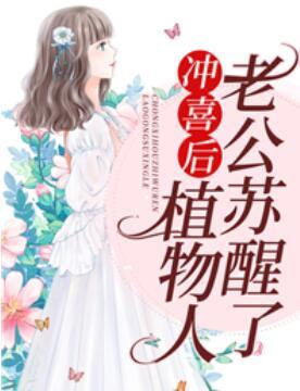 苏若雪青玄紫汐