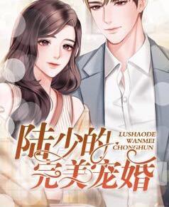 江如意陆北城小说