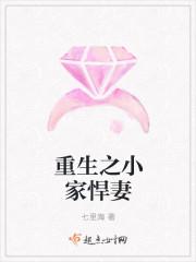 假装自己非穿越
