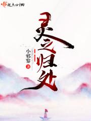 曾经心跳小说