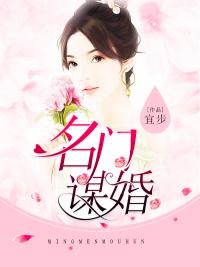 沈安晚陆靳言爆款小说
