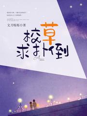 蜜蜜宠婚,总裁老公药不停