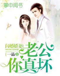 闪婚老公很专情小说