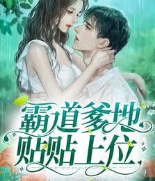 穆安安陆翊完整版小说