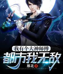 叶辰都市狂婿