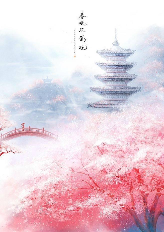 石青衫杨择全文免费阅读