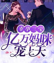财阀大佬您的夫人a炸了小说
