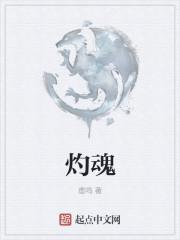 诸天最从心主播